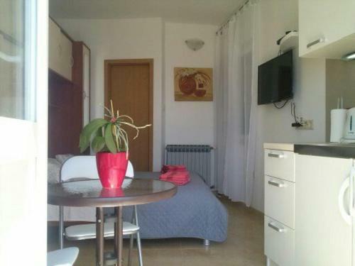 Apartment Mala Pla?a