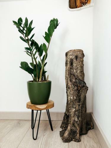 Apartamento Roko