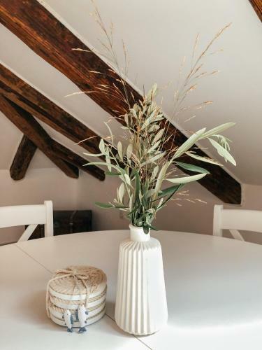 Apartamento Roko