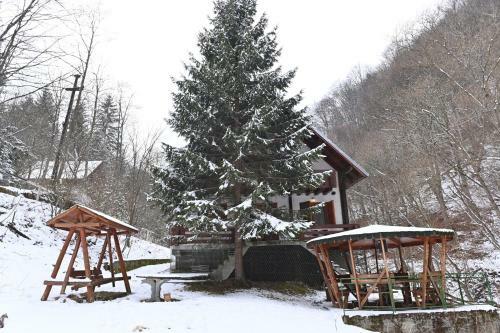 Cabana Satic Piatra Craiului La Doi Viermi