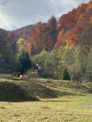 Cabana Satic Piatra Craiului La Doi Viermi