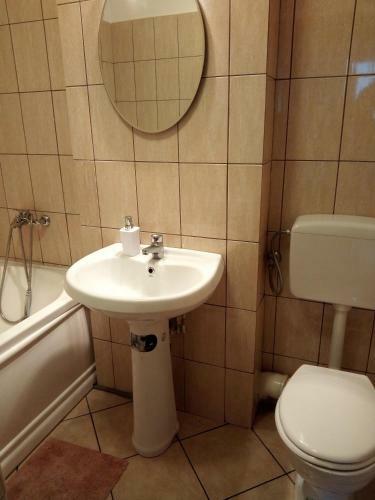 Apartamentul Brandusa