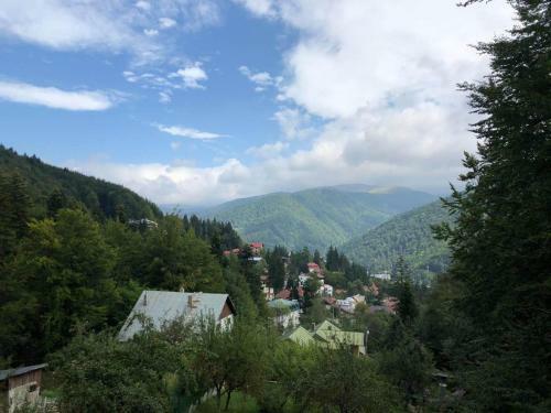 Villa Vila Sinaia Private