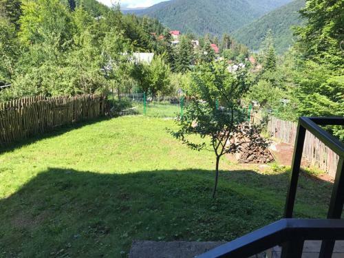 Villa Vila Sinaia Private