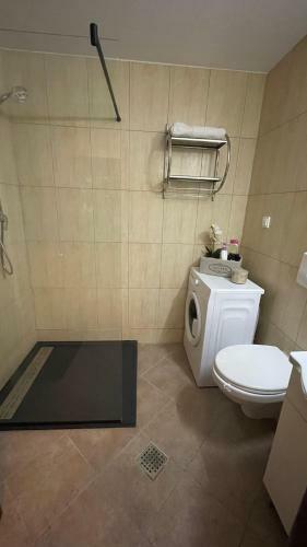Apartament Stanca Piticului