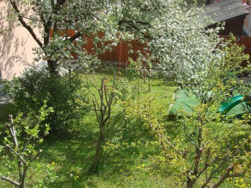 Apartament Ferdinand
