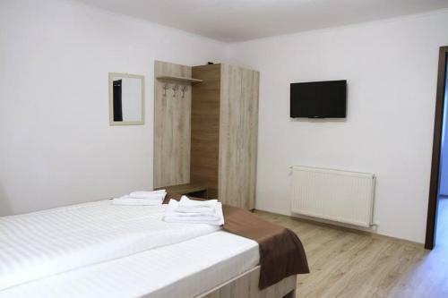 Hostal Pensiunea Argesu **