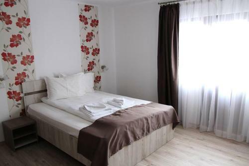 Hostal Pensiunea Argesu **