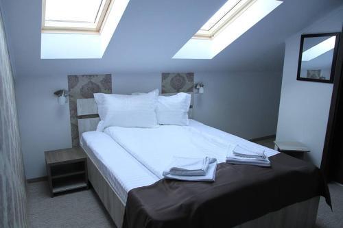 Hostal Pensiunea Argesu **