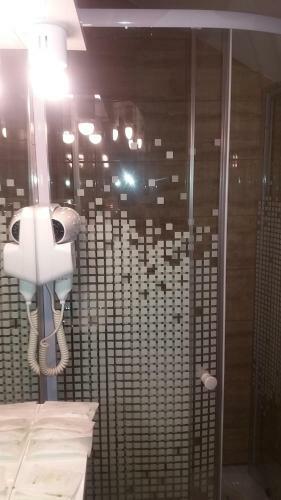 Hostal Pensiunea Argesu **