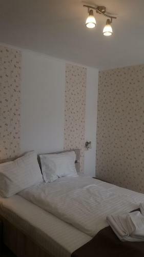 Hostal Pensiunea Argesu **