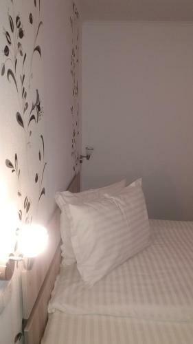 Hostal Pensiunea Argesu **