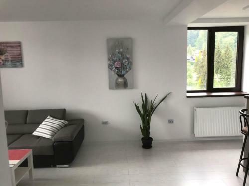 Apartamento Mountain Residence