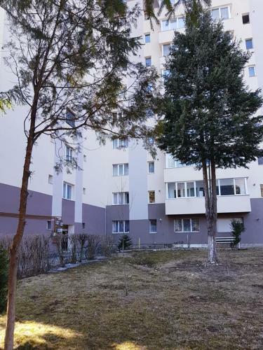Lidia's Apartment