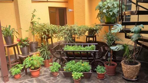Apartamento Vila Raoul