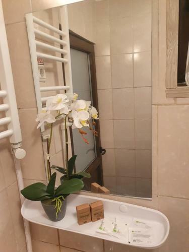Apartamento Jorj Suites Sinaia