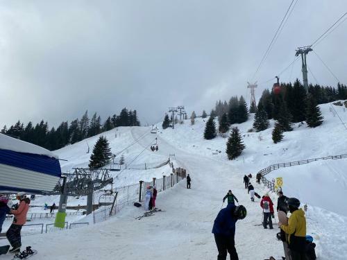 Viewapart Sinaia