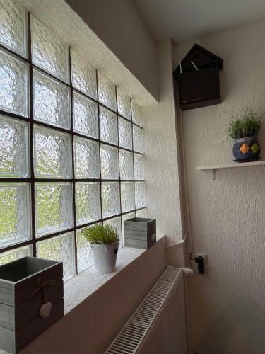 Hostal Casa Shiro