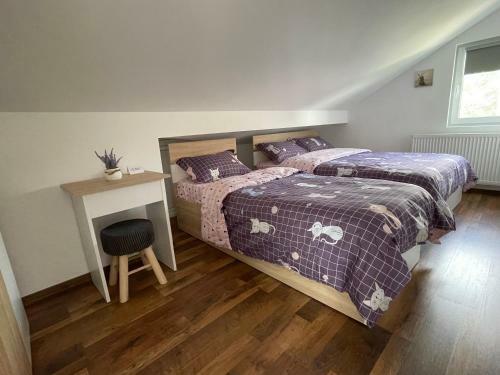 Hostal Casa Shiro