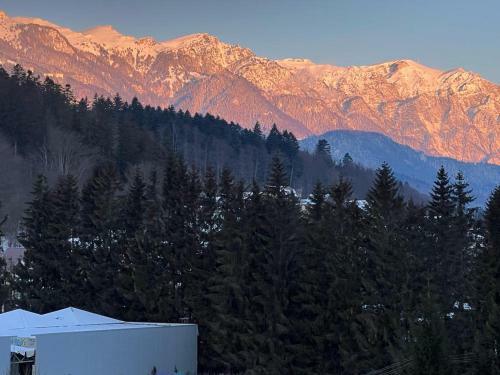 Apartamento Coca Studio Mountain View