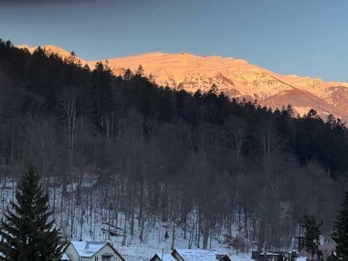 Apartamento Coca Studio Mountain View