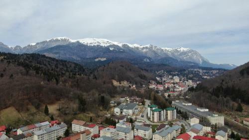Elite Apartments Sinaia
