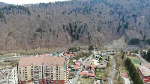 Elite Apartments Sinaia
