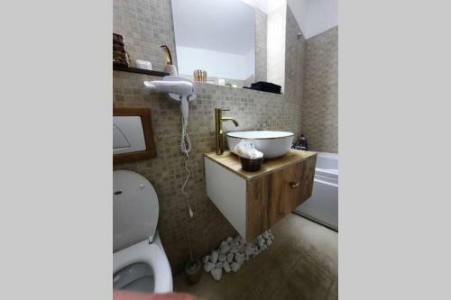 Apartament Erika Sinaia