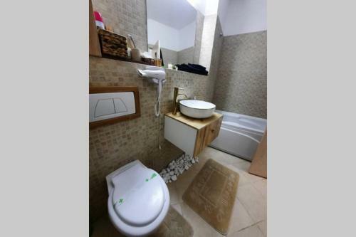Apartament Erika Sinaia