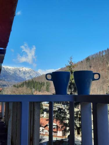 Apartament Erika Sinaia