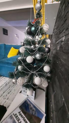 Apartament Erika Sinaia