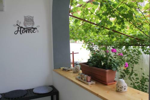 Apartamento La Bella