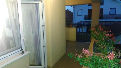 Hostal Sibiu 33