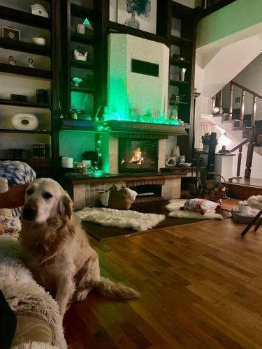 Bed & Breakfast Casa Din Deal
