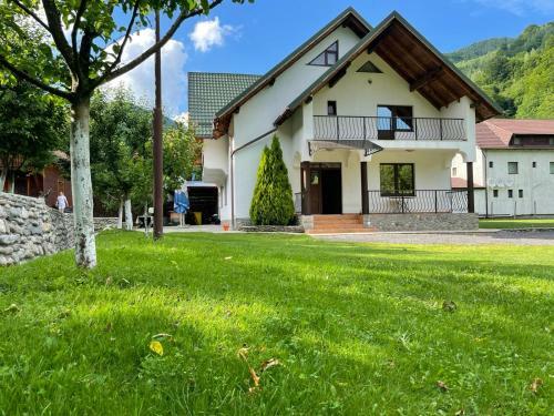 Villa Pensiunea Lotrioara