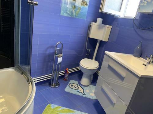 Apartamento Garsoniera Madalina