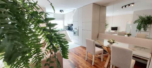 Jardim Na Praia Apartamento