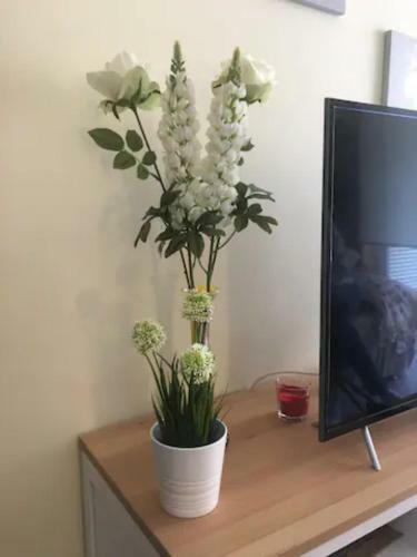 Apartamento Playa Matosinhos