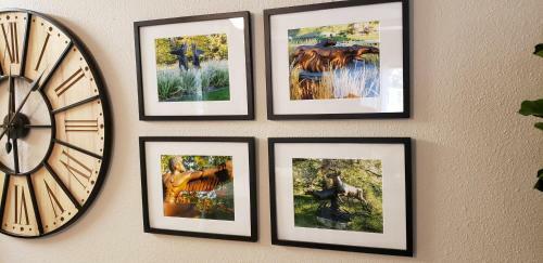Hostal Benson Gardens Guest Suite-pet Friendly