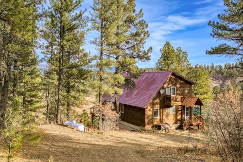 Buena Vista Cabin