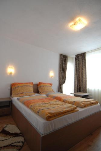 Hostal Pensiunea Padurea Verde