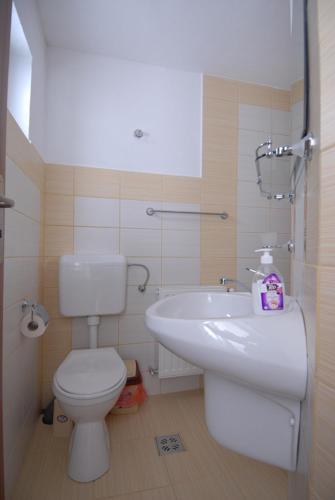Hostal Pensiunea Padurea Verde