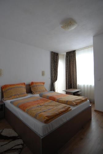 Hostal Pensiunea Padurea Verde
