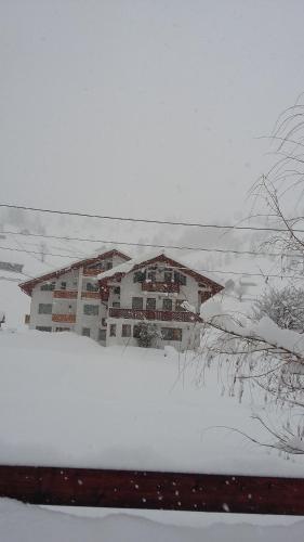 Hostal Pensiunea Padurea Verde