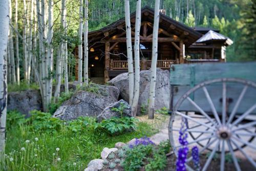 Amazing Highcliffe Lodge Vail