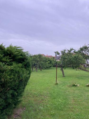 Apartm�n Se Zahradou V Protiv�n? ?.2