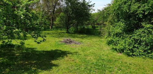 Apartamento Ubytovani-prostejov
