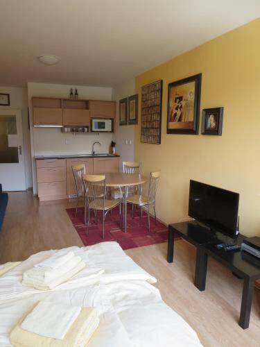 Apartm�n Ramzov� 27
