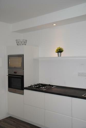 Apartm�n U Lesa