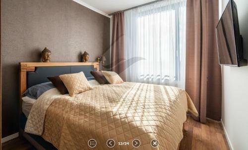 Luxury Apartment ?�?any